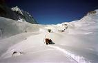nepal e himalaya